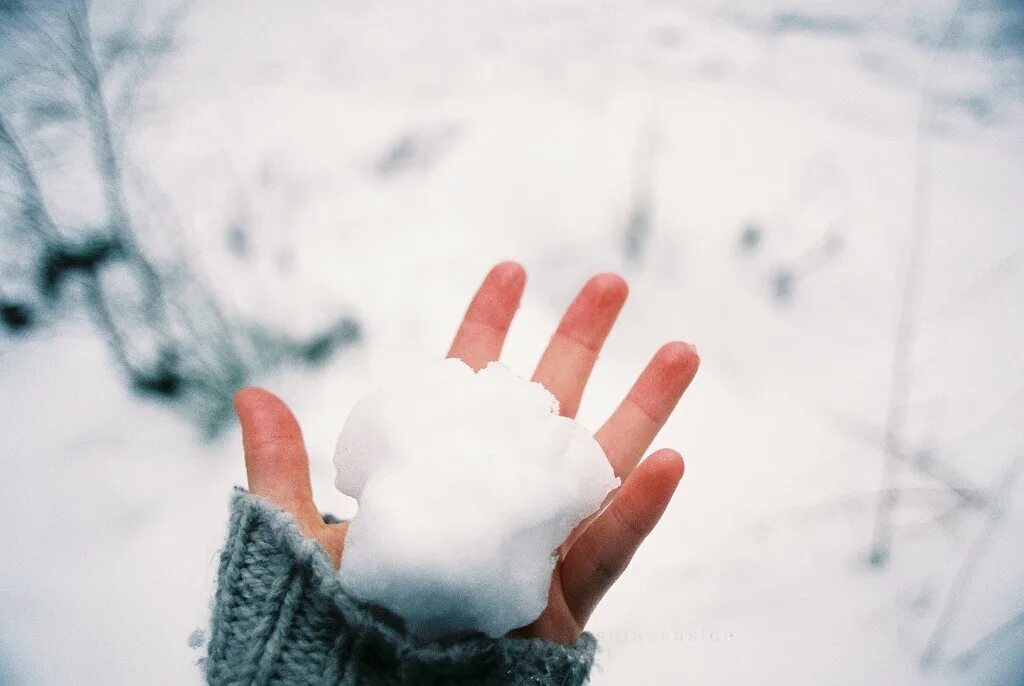 Белый снег на ладони мои. Снег в руках. Руки зимой. Снег на ладони. Снег в ладошках.