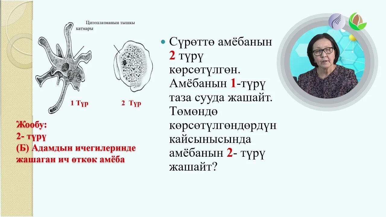 Тест математик кыргызча. ЦООМО ЖРТ. Биология тест 8-класс кыргызча. Биология 9 класс тест кыргызча.