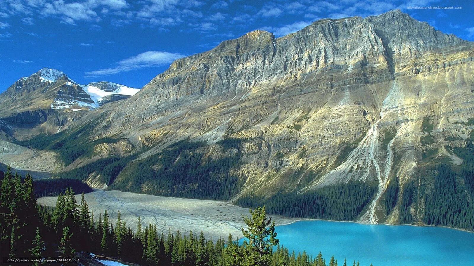 Картинка вид. Озеро Пейто, Альберта, Канада.. Национальный парк Банфф, Канада. Национальный парк Банф (провинция Альберта). Пейто Лейк.