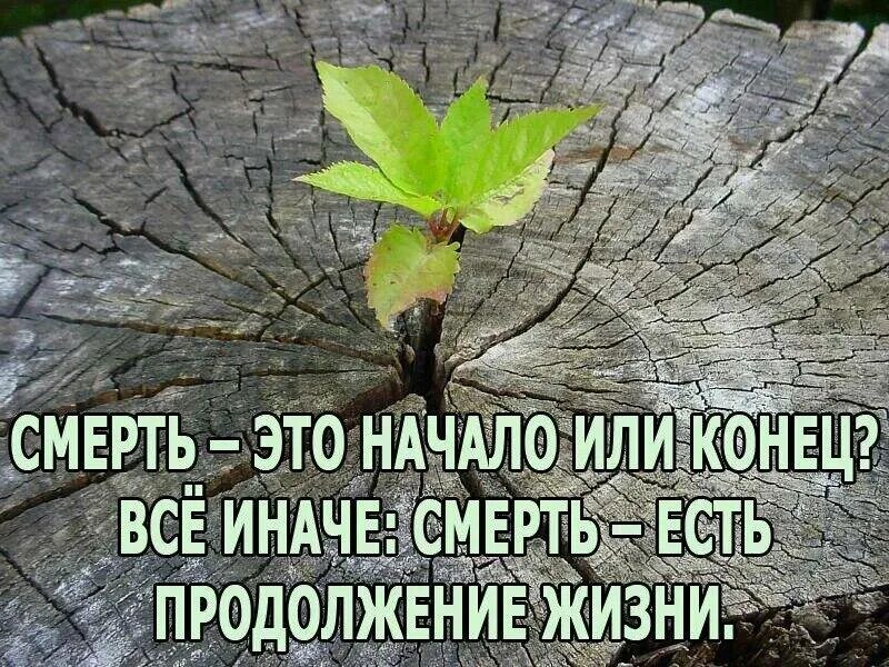 Смысл жизни если умрем. Смерть это начало новой жизни. Смерть продолжение жизни. Смерть это только начало. Цитаты о конце жизни.