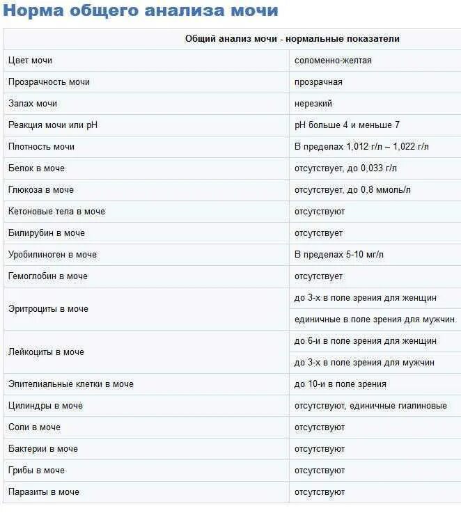 При остром пиелонефрите в моче определяются. Нормальные показатели общего анализа мочи у детей. Общий анализ мочи норма у мужчин по возрасту таблица мочи. Норма анализов мочи у женщины таблица общий. Общий клинический анализ мочи норма у женщин.