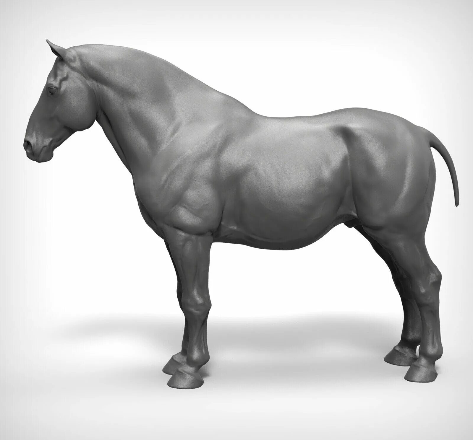 Horses model