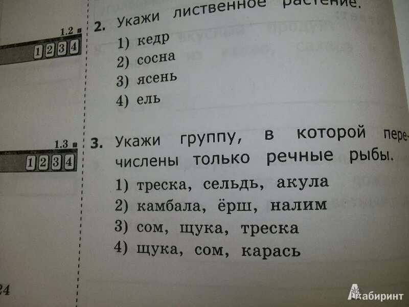 Окружающий мир тестовые задание 4 класс. Окружающий мир тестовые задания.