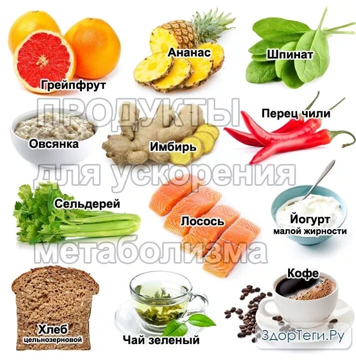 Ускорить метаболизм для похудения после 40. Продукты усиливающие обмен веществ в организме человека. Какие продукты усиливают обмен веществ в организме человека. Продуктыу коряющие метаболизм. Продукты для правильного обмена веществ.