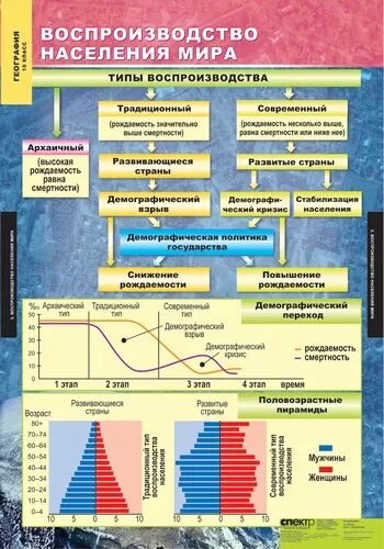 Какие экономические и географические условия. Инфографика география. Мировое хозяйство география 10 класс таблица.