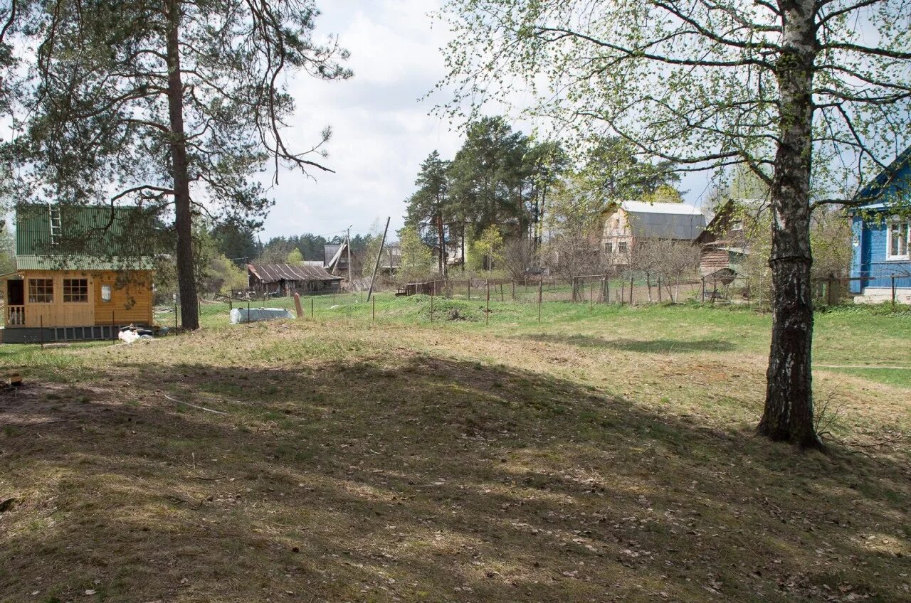 Купить участок в луге. Шалово Луга. Дол изумруд Шалово Луга. Поселок Шалово Лужский район. Шалово-Перечицкий заказник Лужский район.