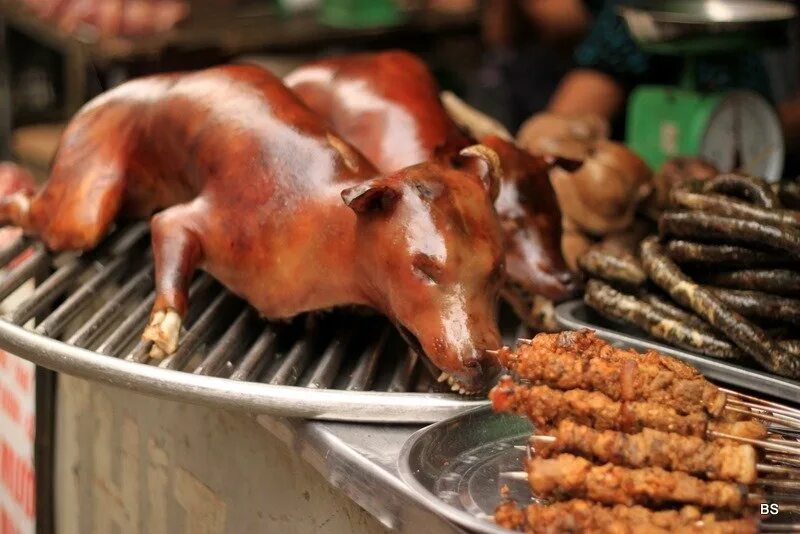 Собачатина на рынке Китая. Принесите мясо тут голодные собаки название