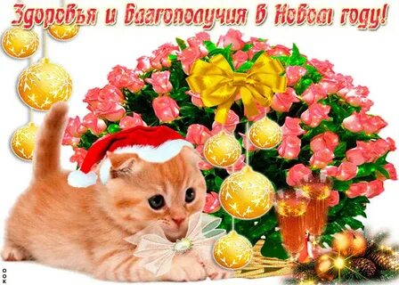 С наступающим желаю здоровья