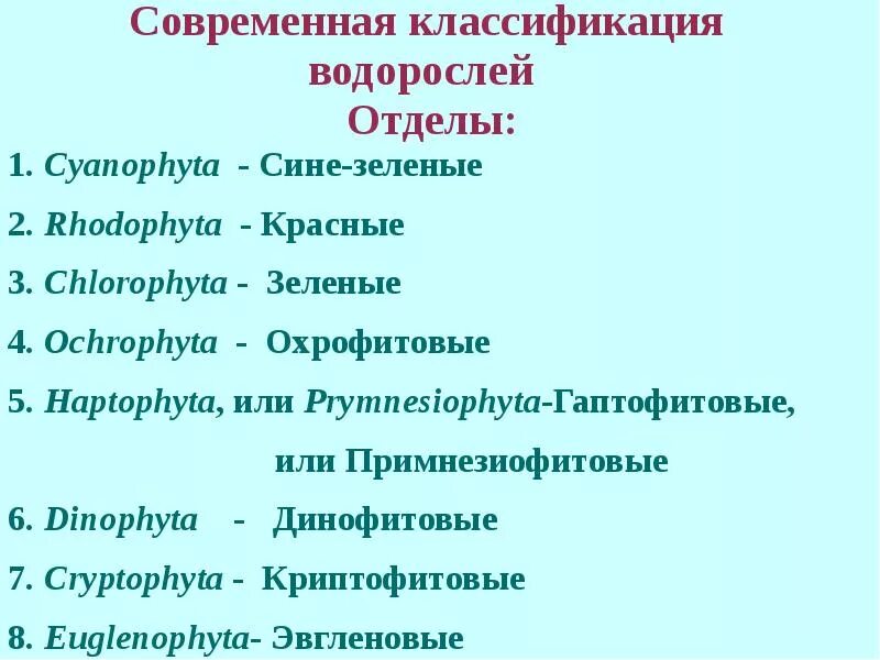 Систематика водорослей. Классификация водорослей схема. Систематика водорослей отделы. Таксономия водорослей. Систематические группы водорослей