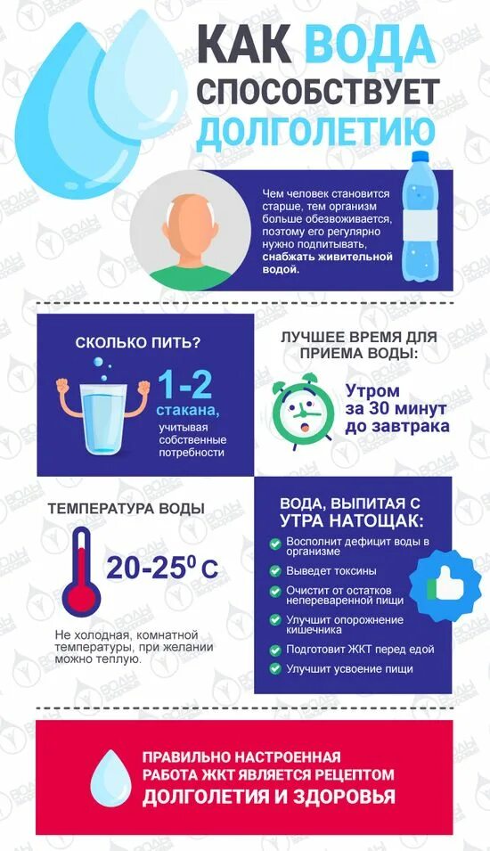 Полезно ли пить утром горячую воду натощак. Надо пить воду. пить воду полезно. полезная вода для питья.