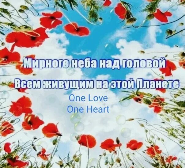 Доброго мирного неба над головой. Мирное небо. Доброе утро мирного неба. Мироого неба надголовой.