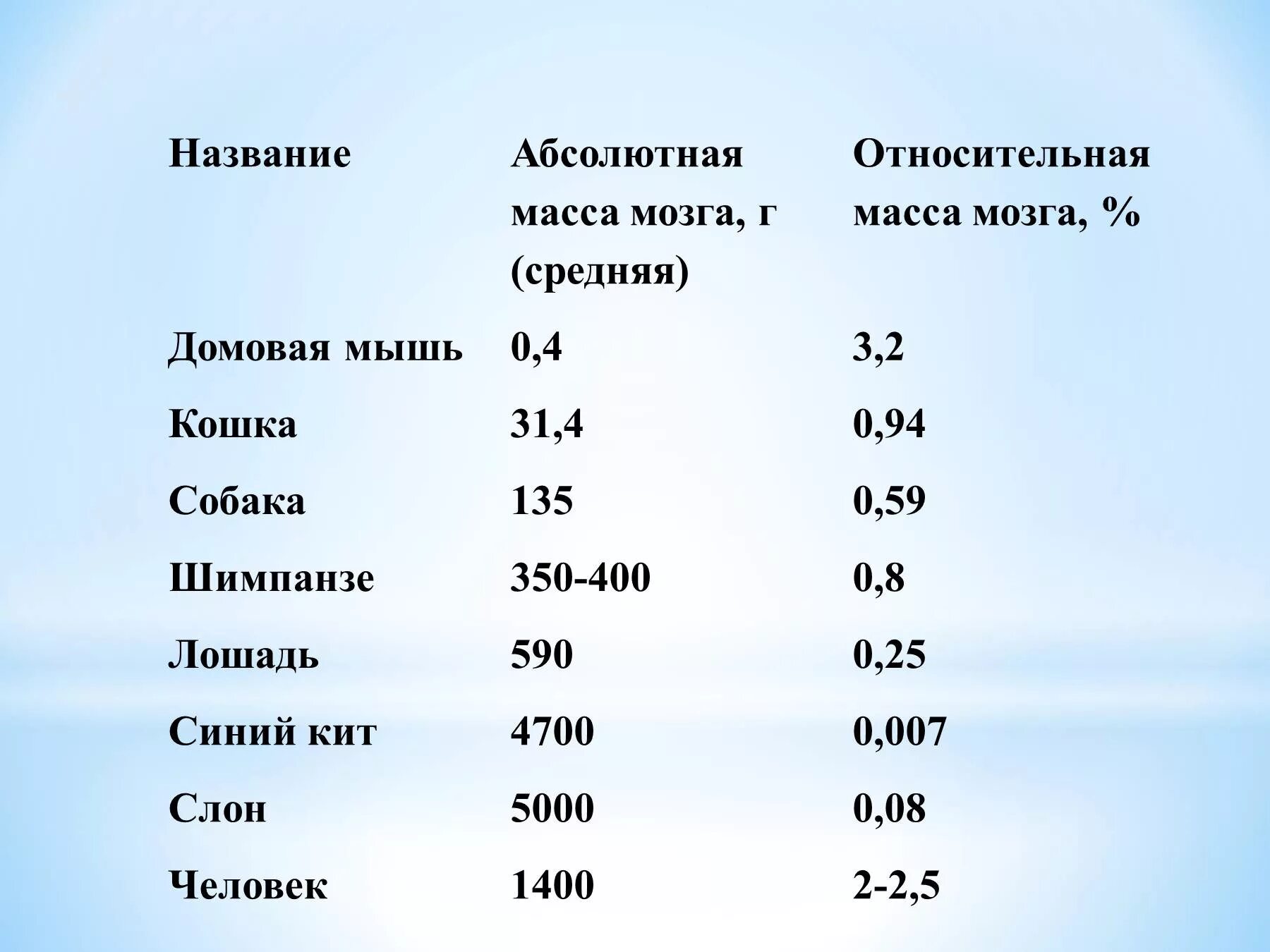 Какова масса мозга. Относительная масса мозга. Абсолютная масса мозга это. Относительная масса мозга человека.