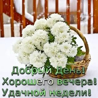 Новая неделя декабря