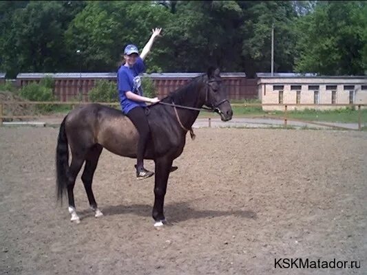 Кск матадор. КСК Матадор Нагорное. КСК Матадор Лианозово. Матадор соревнования КСК.