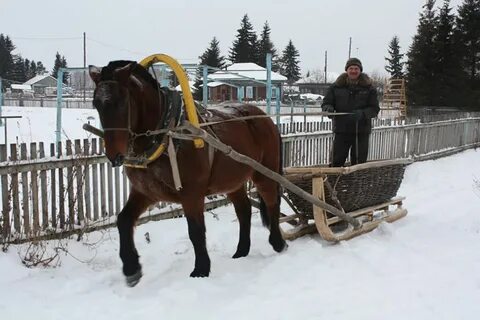 Село большеречье новосибирская область