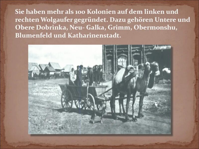 Поволжские немцы. Немцы Поволжья презентация. Презентация поволжские немцы. Поволжские немцы история. История заселения поволжья