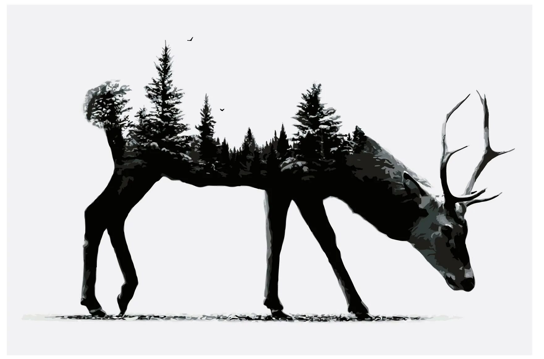 Deer studio