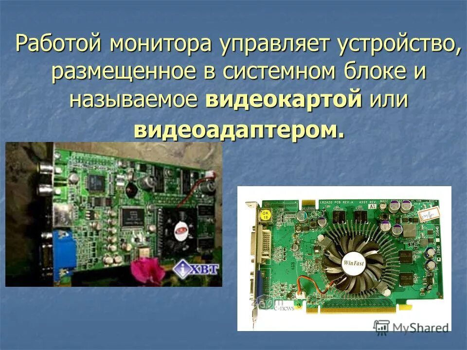 Устройство управляющее работы дисплея. Графический акселератор. Видеоадаптер это дисплейный процессор. Что управляет работой монитора. Состав монитора компьютера.