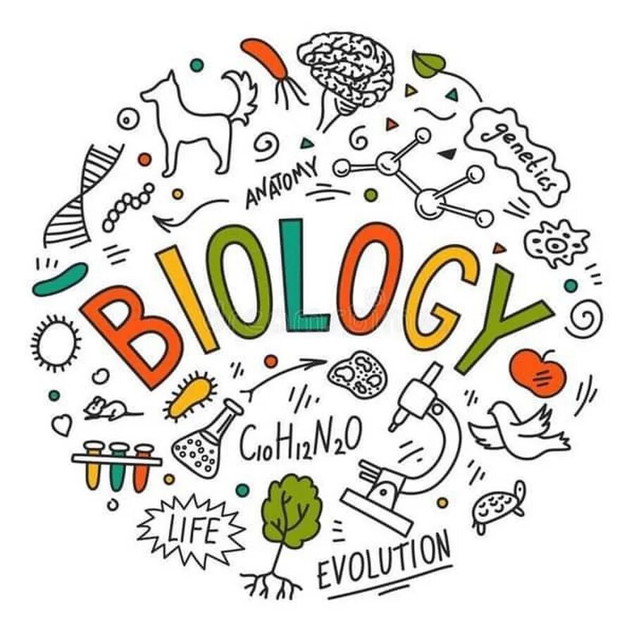 Биология буквы. Биология надпись. Слово биология. Biology красивым шрифтом. Биология буквы.