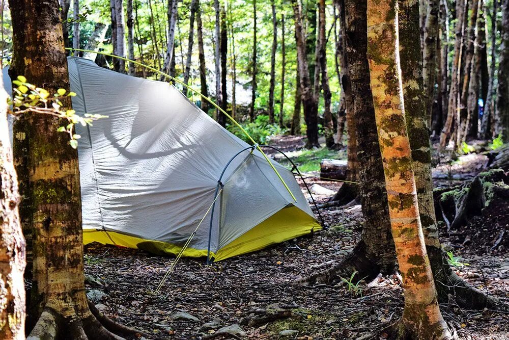 Camp guide. Фрид кемпинг. Палатка Northland. New Zealand Camping.