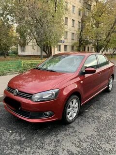 Поло 12 года
