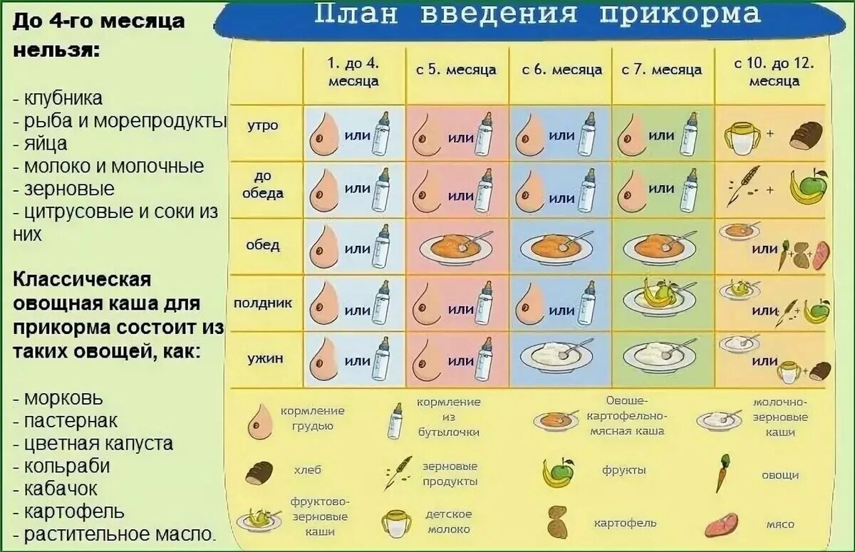 Что можно давать 11. Схема ввода прикорма при искусственном вскармливании с 4. Введение каши в прикорм ребенка в 6 месяцев. Схема ввода прикорма с 6. Схема прикорма 6 месячного ребенка.