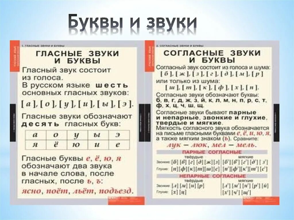 Феня количество букв и звуков. Сколько в русском языке гласных звуков и гласных букв. Буквы обозначающие гласные звуки в русском языке 1 класс. Согласные буквы и звуки в русском языке. Гласние исогласни буквы и звуки.