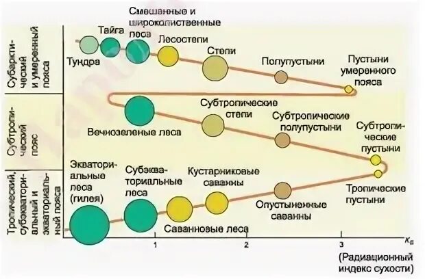 Закон мировой зональности