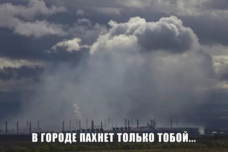 Город воняет. В городе пахнет только тобою. Вонючий город. Запахи города. В городе пахнет только.