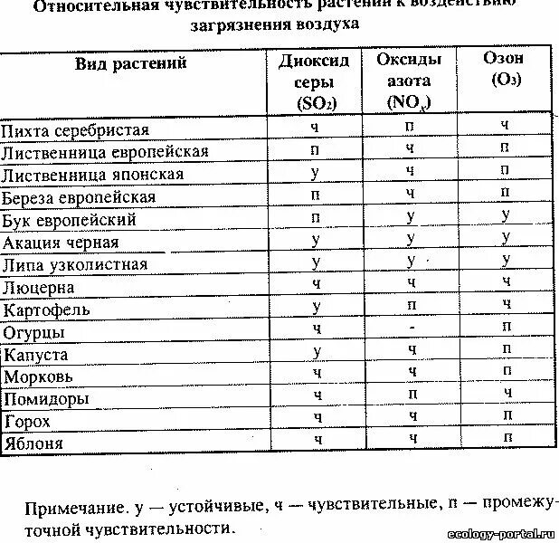 Деревья устойчивые к загрязнению воздуха. Растения чувствительные к загрязнению воздуха. кустарники устойчивые к загрязнению. деревья устойчивые к загрязнению. наиболее устойчивые к загрязнению атмосферного воздуха растения.