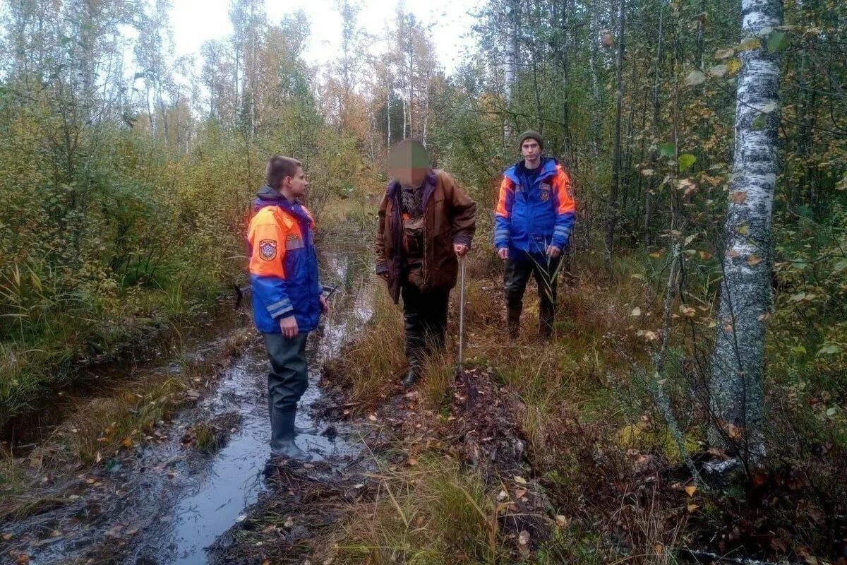 Заблудились в болоте. Заблудился в лесу. Потерялись в лесу в г. Лесной.