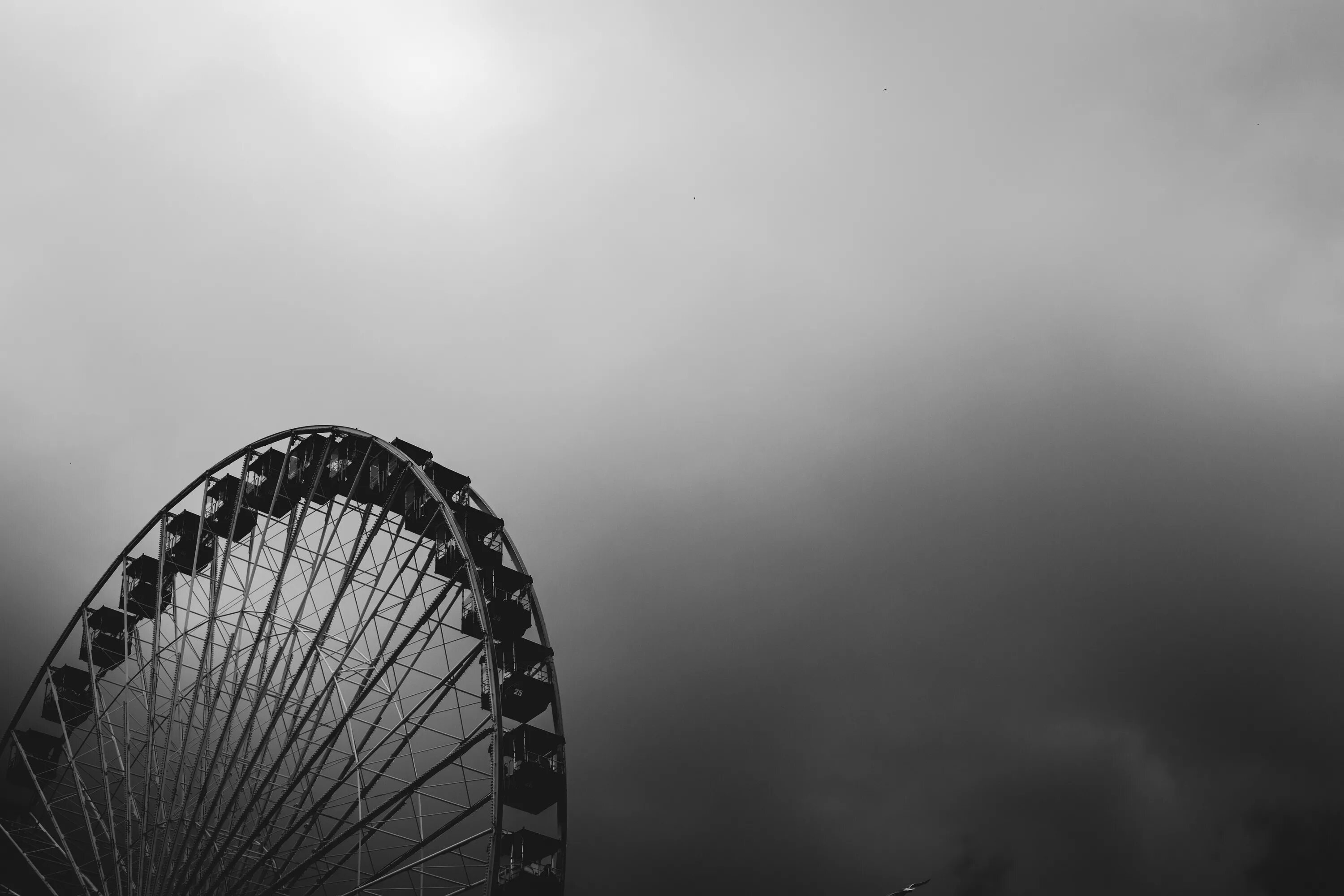 Черно белые стрит фотографии. Дерево черно белое. Black and white said. Like black and white. Уличный фотограф.