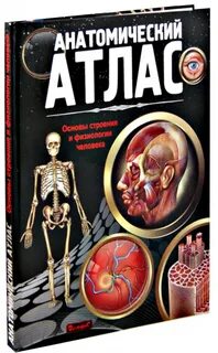 Лучший атлас по анатомии человека