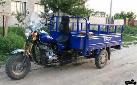 Муравей сколько лошадей
