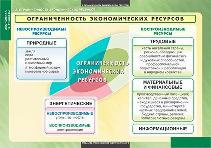 Характеристики экономической системы общества егэ. Плакат по экономике. Стенды по экономике для СПО. Плакаты учебные по экономике. Плакаты в кабинет экономики.