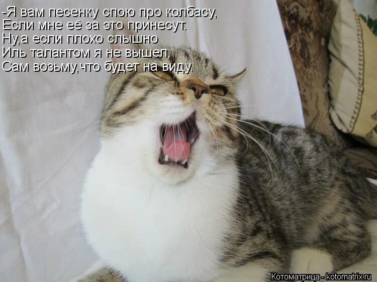 ничего спеть