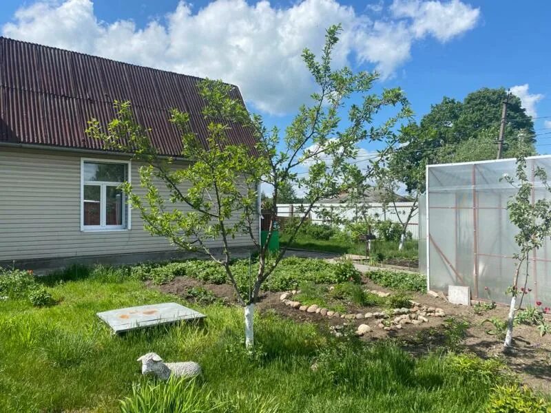Малые колпаны кооперативная 1. Малые колпаны кооперативная 1
