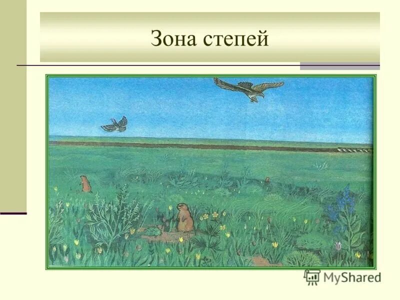 Степь тетрадь. Степь рисунок. детские рисунки степи. степь рисунок для 4 класса. нарисовать зону степей.