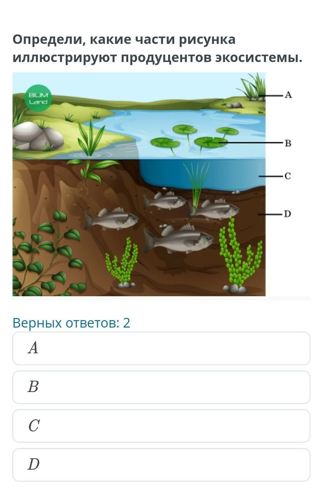 Тест экосистемный уровень 9 класс. Компоненты экосистемы. Элементы экосистемы. Виды экосистем. Примеры компонентов экосистемы.