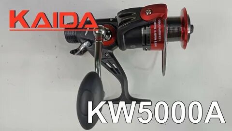 Kaida kw