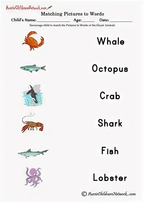 Sea animals Worksheets. Sea animals Worksheets for Kids. Sea Words for Kids. Рыба на английском языке.