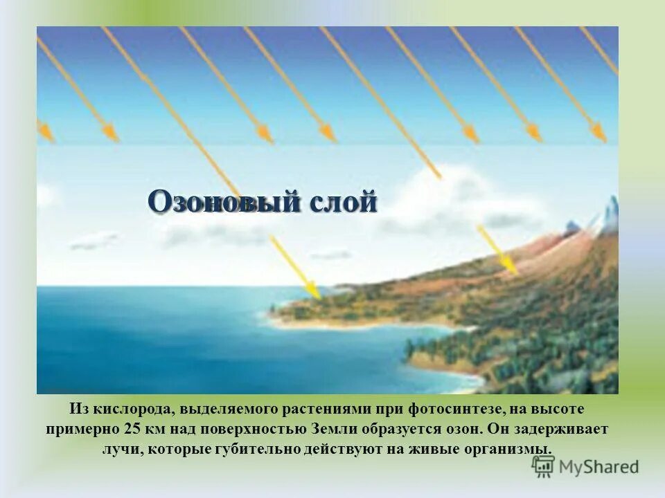 Важную роль накопления кислорода на земле сыграли. Озоновый слой защищает землю от. Образование озонового слоя фотосинтез. Озоновый слой фотосинтез. Озоновый слой образуется.