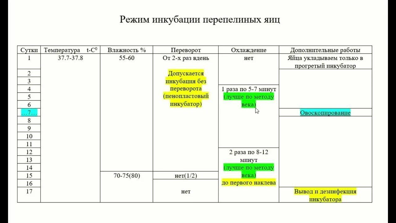 Режим инкубации перепелов. Таблица инкубации перепелиных. Инкубация перепелиных яиц режим инкубации таблица. Перепела инкубация таблица. Режим инкубации перепелиных яиц таблица.