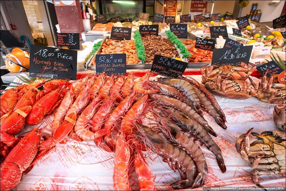 Купили на рынке рыбу. Рыбный базар Фетхие. Рыбный рынок Цукидзи (г.Токио). Рыба на рынке. Рыбный рынок в Стамбуле.