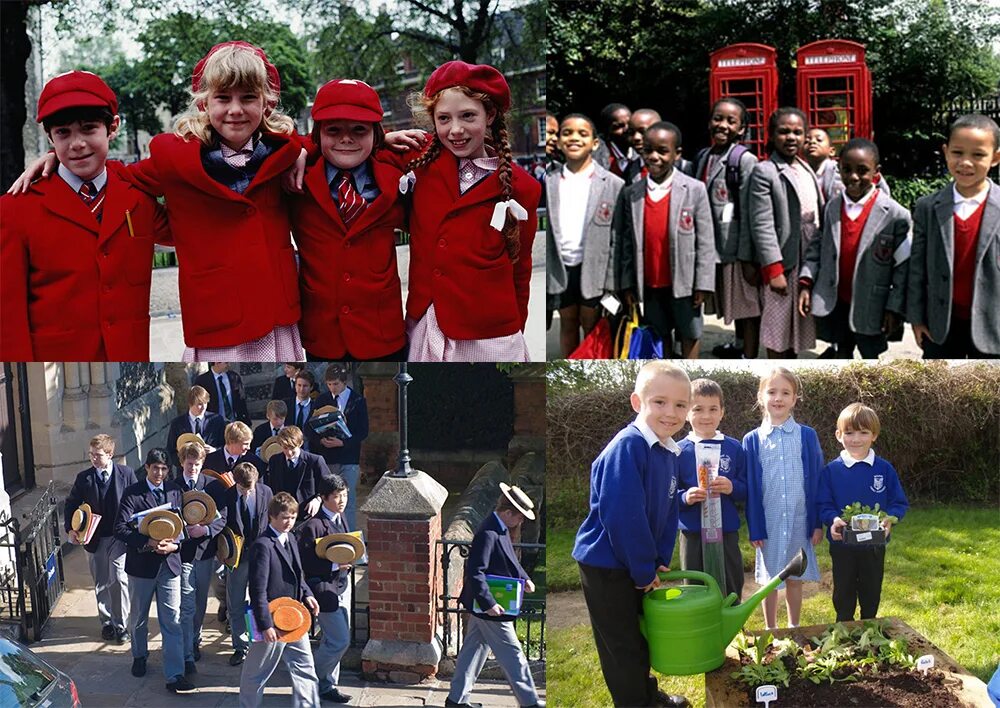 в каком стране много школ. образование в индии интересные факты. разные школы мира. в каком стране много школ. аргентинские школьники.