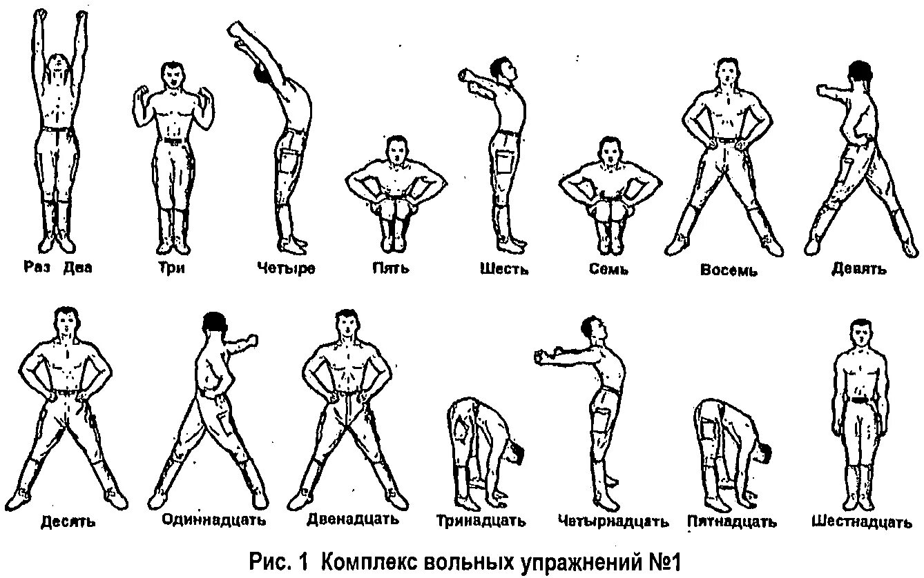 Комплекс армейский. Комплекс вольных упражнений 1 2 3 для военных. Комплекс вольных упражнений для военнослужащих 1 и 2. НФП комплекс вольных упражнений 1. Комплекс армейских упражнений на 16 счетов.