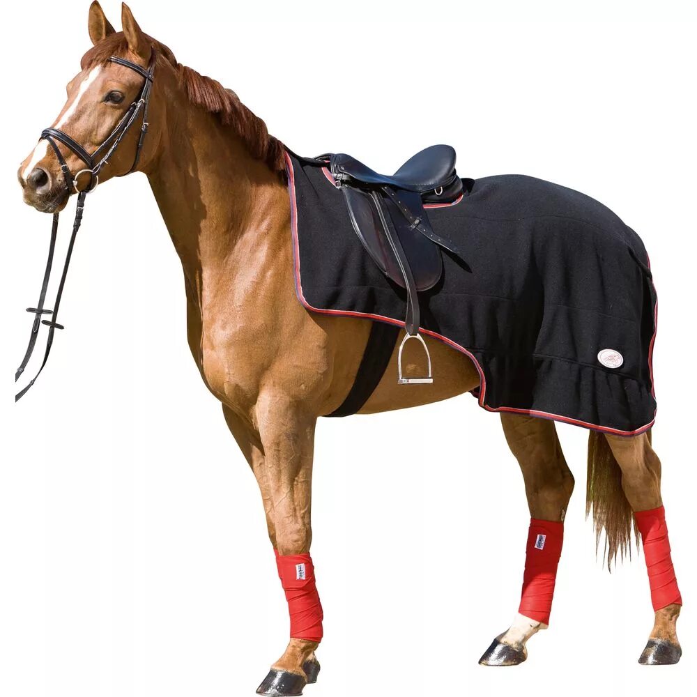 снаряжение для лошади. комплект для лошади. конкурное седло для лошади. седло выездковое лосдау. верховое снаряжение.