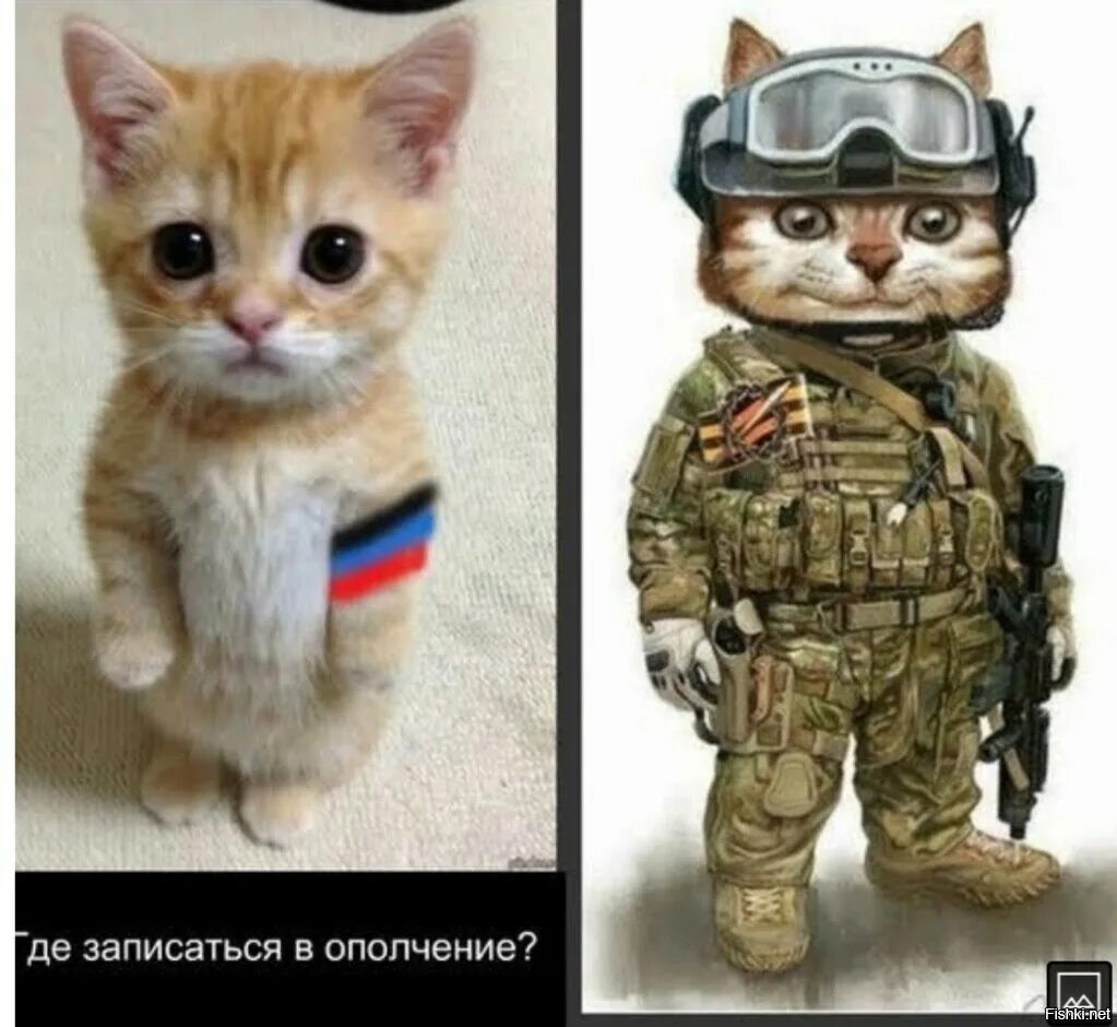 Записаться в ополчение. Записаться в ополчение. Запись добровольцев на фронт 1941. Русские военные. Народное ополчение битва под москвой.