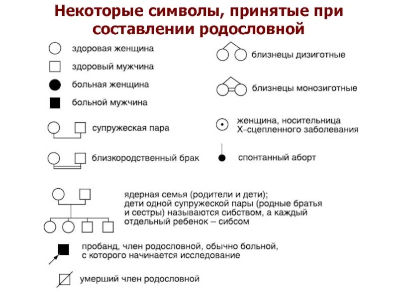 Условные обозначения генетики. Условные обозначения при составлении родословных. Знаки при составлении родословной. Генеалогический метод обозначения в родословных. Символы для составления родословной.