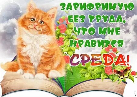 Стикер доброй среды